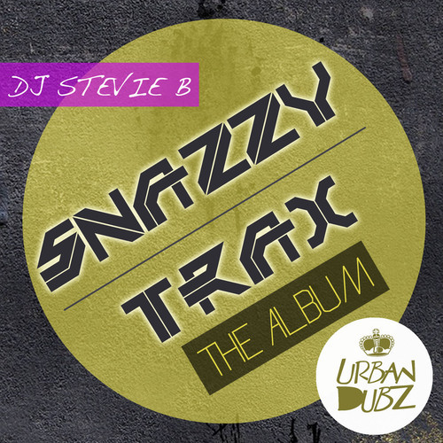 DJ Stevie B : Snazzy Trax Album