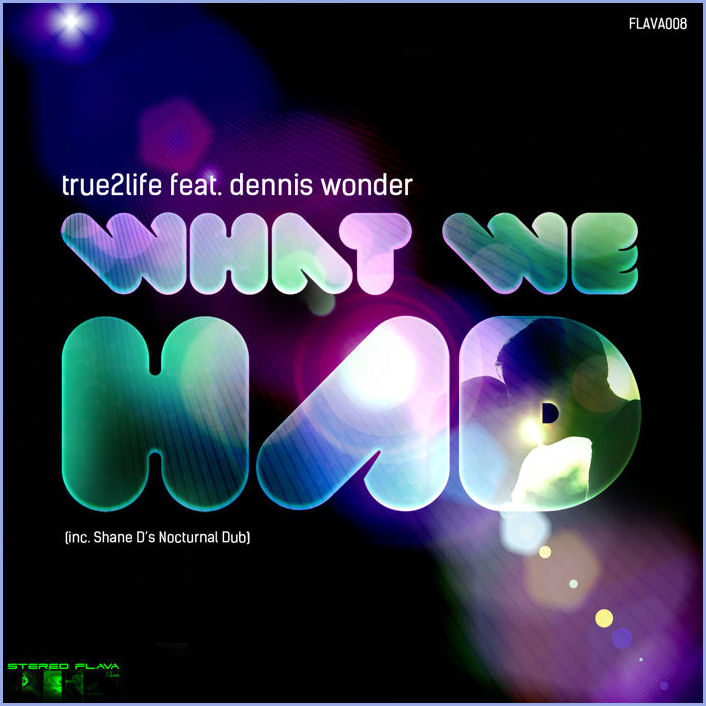 True2Life feat. Dennis Wonder : What We Had