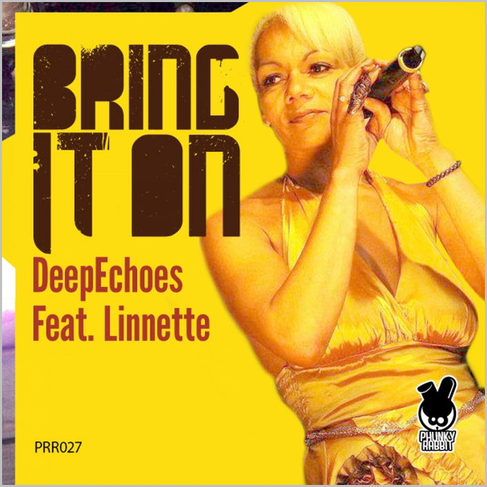 Deep Echoes feat. Linnette : Bring It On