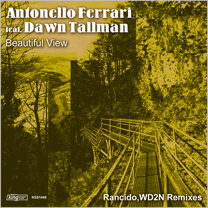 Antonello Ferrari feat. Dawn Tallman : Beautiful View (Remixes)
